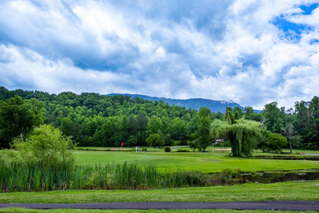 Little Cub Cottage - Mtn Views & Community Pools Gatlinburg Extérieur photo